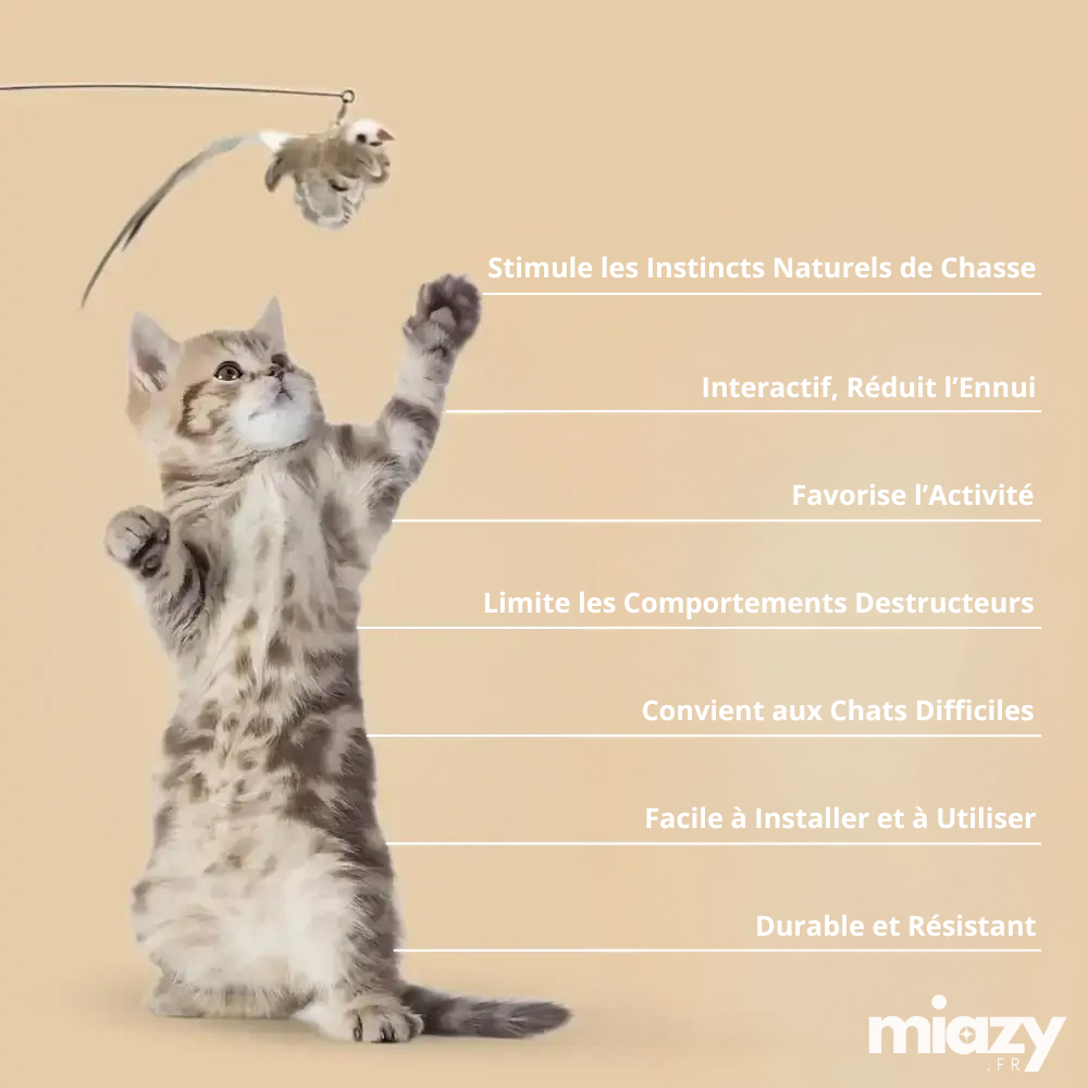 KIT DE CHASSE ULTIME