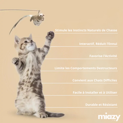 KIT DE CHASSE ULTIME
