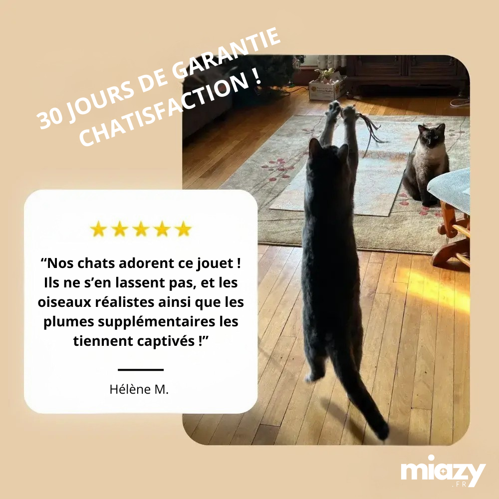 KIT DE CHASSE ULTIME